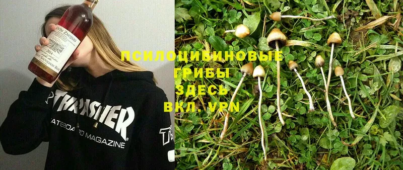 Галлюциногенные грибы MAGIC MUSHROOMS  наркота  Кинель 